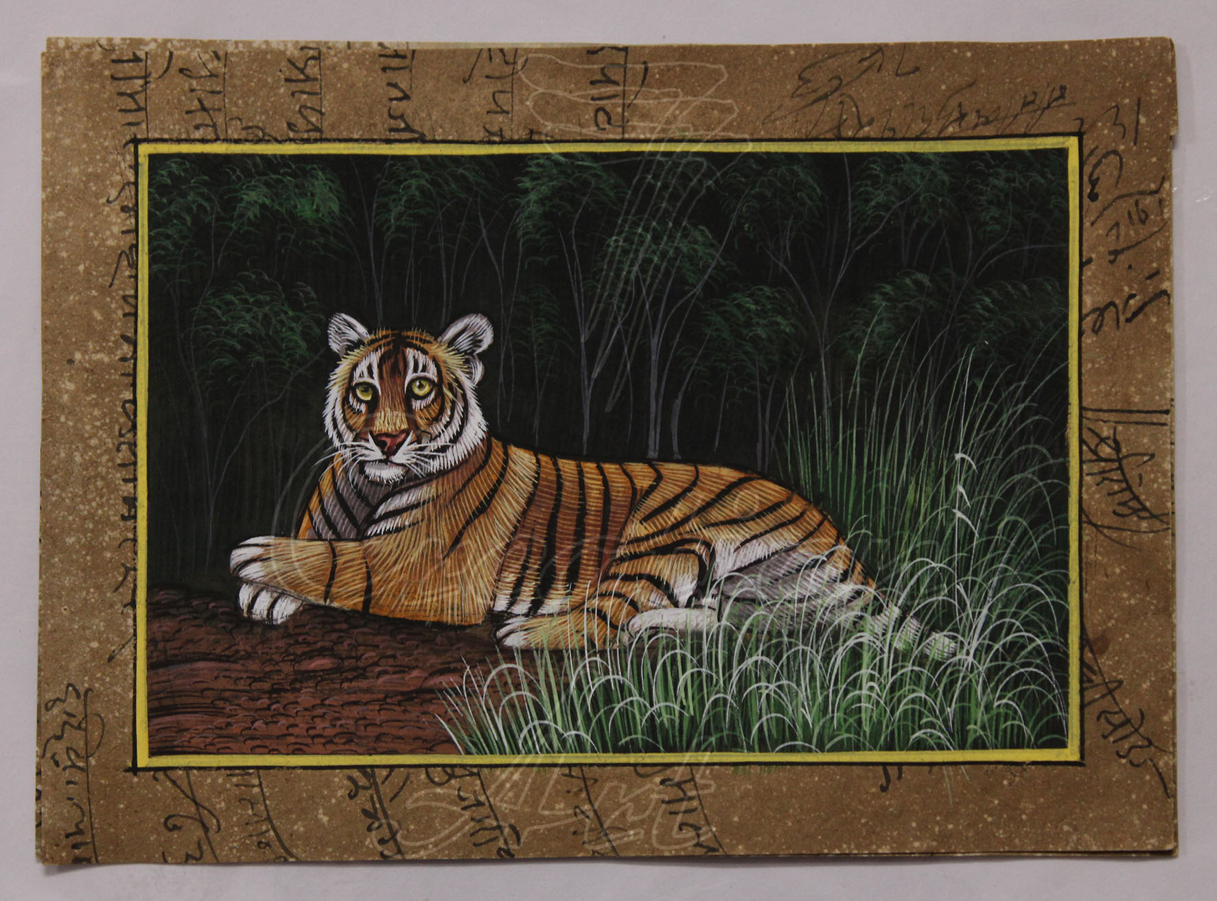 Indian Tiger - 7Creation Art