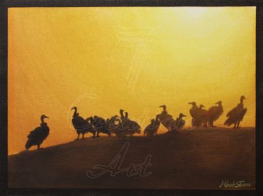 Indian Vultures in Sunset, Sunset Canvas Painting, Online Art Gallery, Vultures